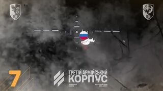 Russian ragdolls