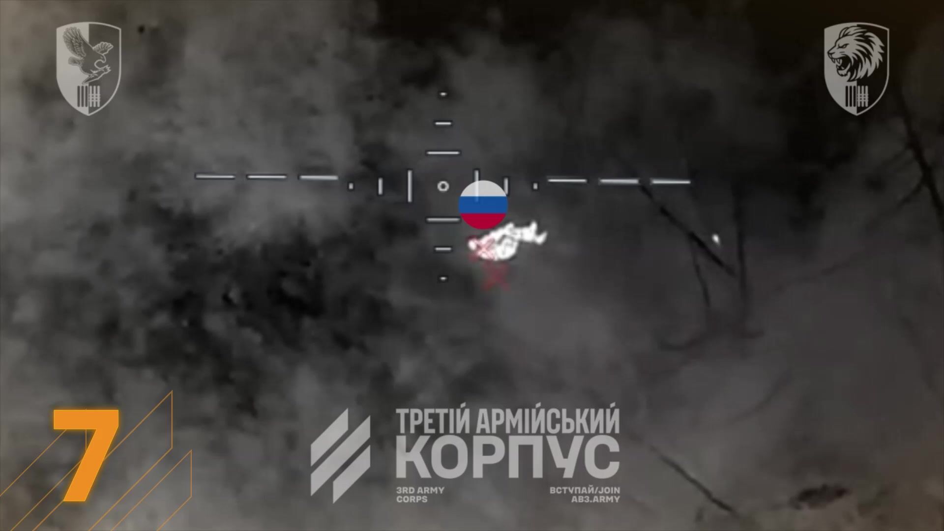 Russian ragdolls