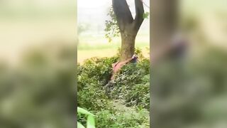 Beheaded, Tied To The Tree Male body Discovered By Shocked Villagers In Bangladesh