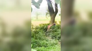 Man Beheaded and Tied to Tree in Gruesome Murder (New Footage)