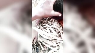 Captured Nigerian Thug Decapitated by Rivals – Head Rolled as Trophy