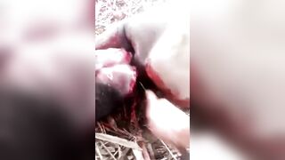 Captured Nigerian Thug Decapitated by Rivals – Head Rolled as Trophy