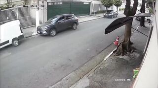 Driver Pursues and Runs Over Armed Motorcyclist After Failed Robbery Attempt