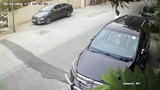 Cold-Blooded Execution: Lawyer Deliberately Crushed to Death by SUV Outside His Home
