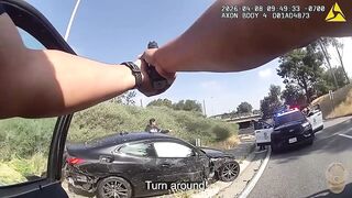 Man Gunned Down by LAPD After Wild Police Chase Ends in Fiery Crash
