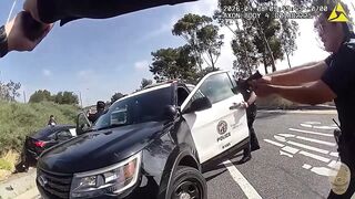 Man Gunned Down by LAPD After Wild Police Chase Ends in Fiery Crash