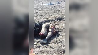 Russian faggots lying along the roads - compilation of photos from Nov 2022