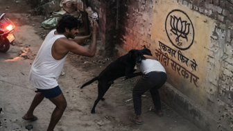 Huge Stray Dog Attacks Man In India