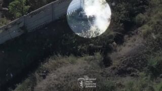 Global Whore | Burning Meat On The Border | Vaporized Russians Compilation 15