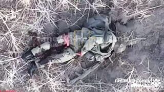 Global Whore | Burning Meat On The Border | Vaporized Russians Compilation 15