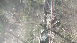 Global Whore | Burning Meat On The Border | Vaporized Russians Compilation 15
