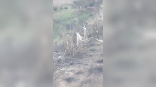 Ripping apart of 15 russhits in Sumy district, Ukraine.