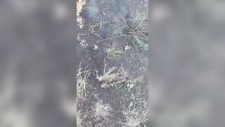 Ripping apart of 15 russhits in Sumy district, Ukraine.
