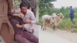 Attacked By Bull Man Suffers A Seizure