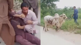 Attacked By Bull Man Suffers A Seizure