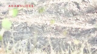 CONTAINS // A Modern Conflicts Comp //