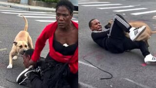 Man Bitten By Own Dog During Fight With His Transgender Lover In New York