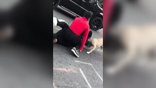 Man Bitten By Own Dog During Fight With His Transgender Lover In New York