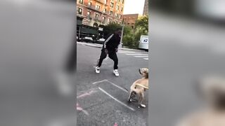 Man Bitten By Own Dog During Fight With His Transgender Lover In New York