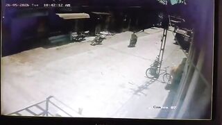 Man Attacked By Stray Cattle In India
