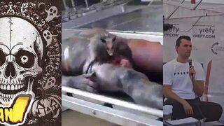 Gore Compilation10