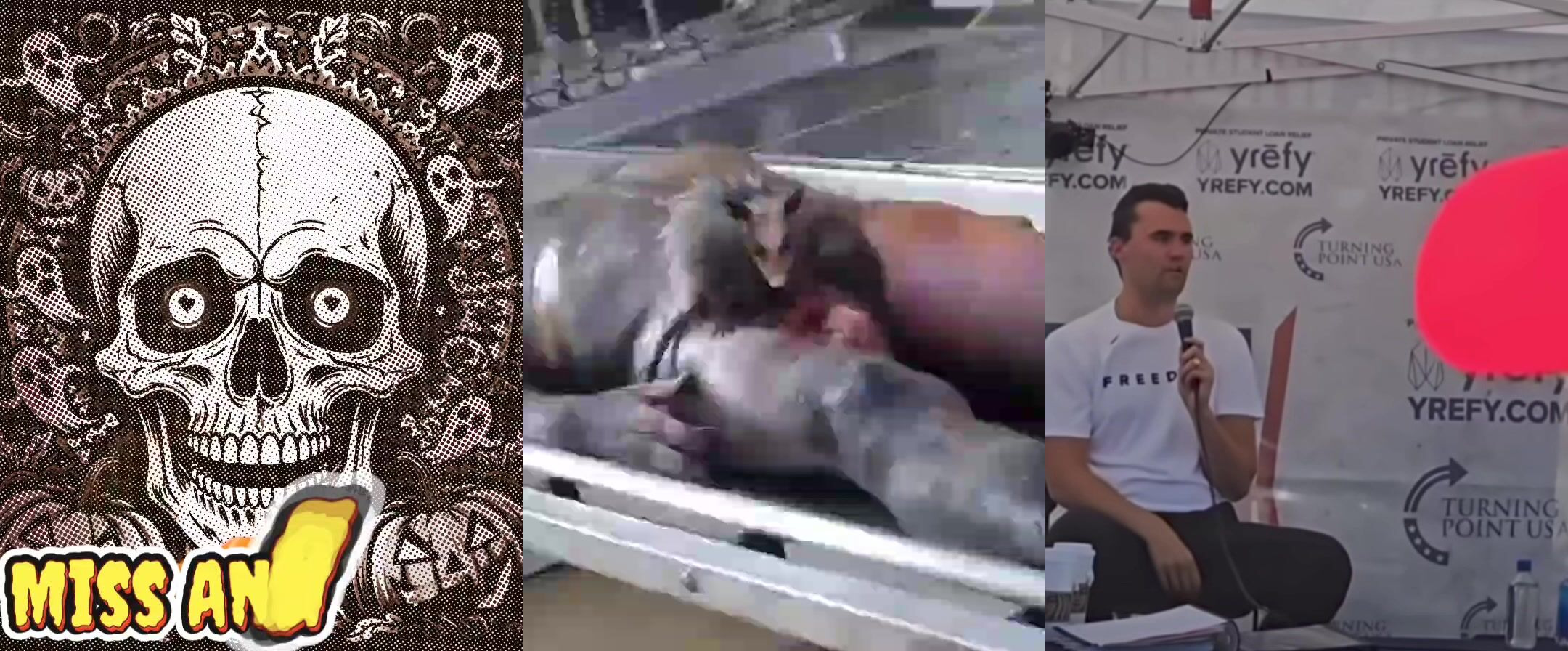 Gore Compilation10