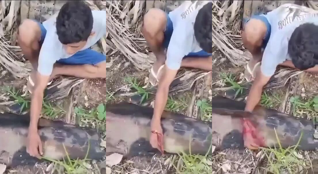 Classic: Mans hand chopped off