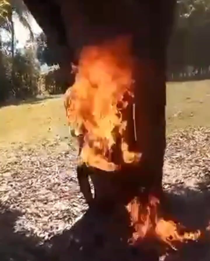 Gore Compilation11