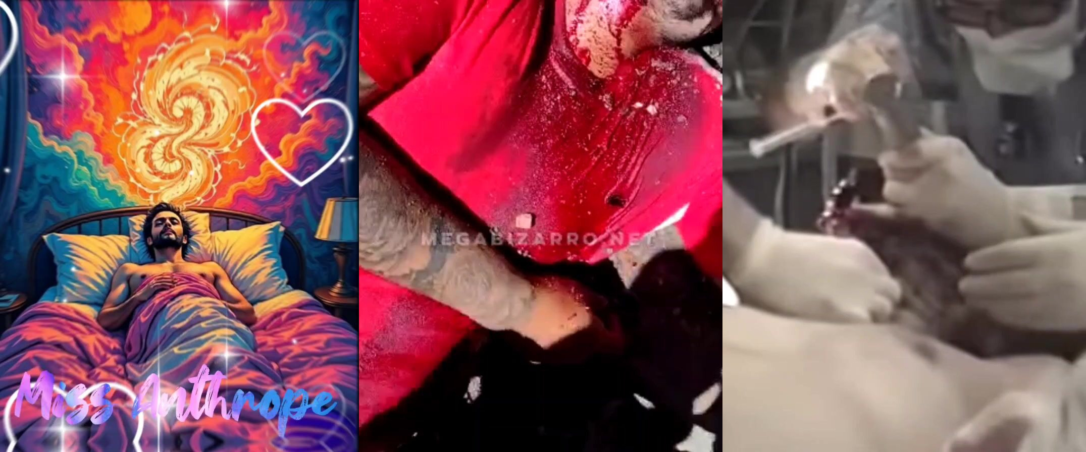 Gore Compilation13