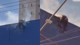 Worker Contacted Live Wires, Died Electrocuted