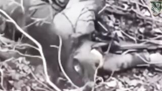 A perfect headshot into the empty head of the swamp orc.