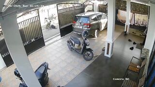 Sacrificial Cow  Drags And Kills A Man In Indonesia