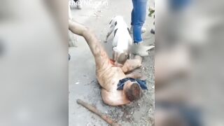 Classic: A Pit Bull Eats A Man's Dick