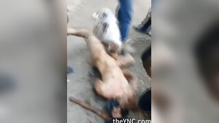 Classic: A Pit Bull Eats A Man's Dick
