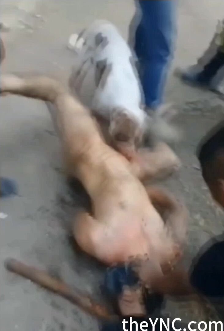 Classic: A Pit Bull Eats A Man's Dick