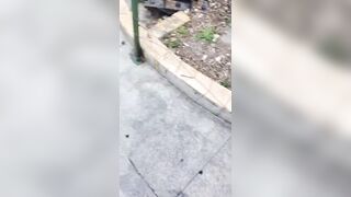 Two Motorcycle Thieves Shot Dead by Police in Guatemalan Highway Ambush (Full Video)