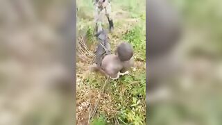 Boko Haram Member Gtes Executed In The Shallow Grave