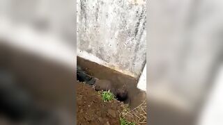 Boko Haram Member Gtes Executed In The Shallow Grave