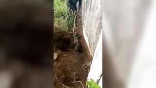 Boko Haram Member Gtes Executed In The Shallow Grave