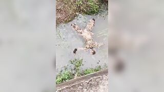 Woman Who Demanded IPhone Killed By EX-BF And Left To Rot In Dirty Canal In Indonesia