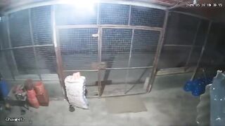Horrific CCTV Footage Shows Gunmen Executing Murshidi Civilians