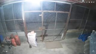 Horrific CCTV Footage Shows Gunmen Executing Murshidi Civilians