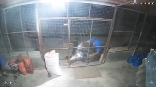 Horrific CCTV Footage Shows Gunmen Executing Murshidi Civilians