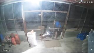 Horrific CCTV Footage Shows Gunmen Executing Murshidi Civilians