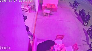 Brutal Backstabbing Murder: Friend Distracts Victim While Accomplice Attacks