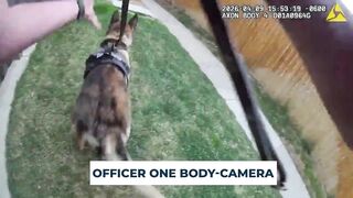 Aurora Officer Stabbed Multiple Times in Head with Knife, Fatally Shoots Suspect