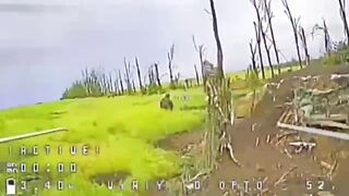 A russian invader taking a dump got a surprise visit by a Ukrainian FPV drone.