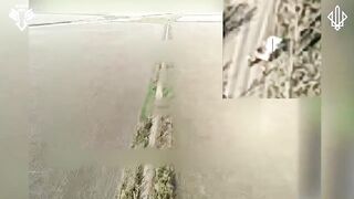 Ukrainian Black Sky Battalion destroyed Russian vehicles and infantry