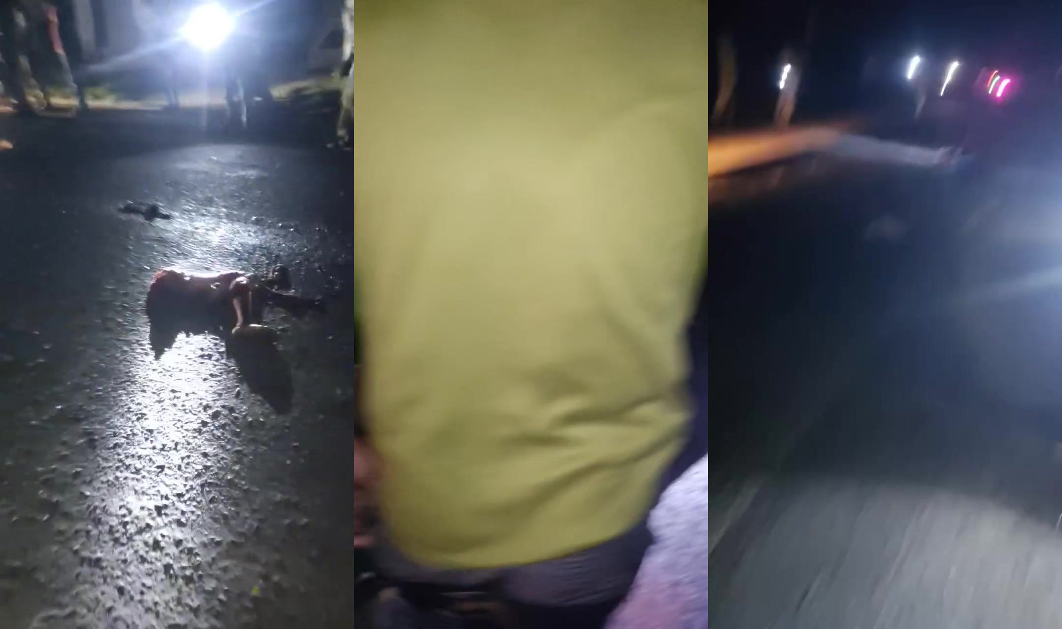 Man turned into street taco meat in road accident