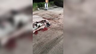 Man  crushed by truck after falling asleep underneath vehicle
